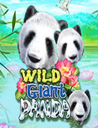 sbobet แปลไทย เกมสล็อตที่ไม่ควรพลาด